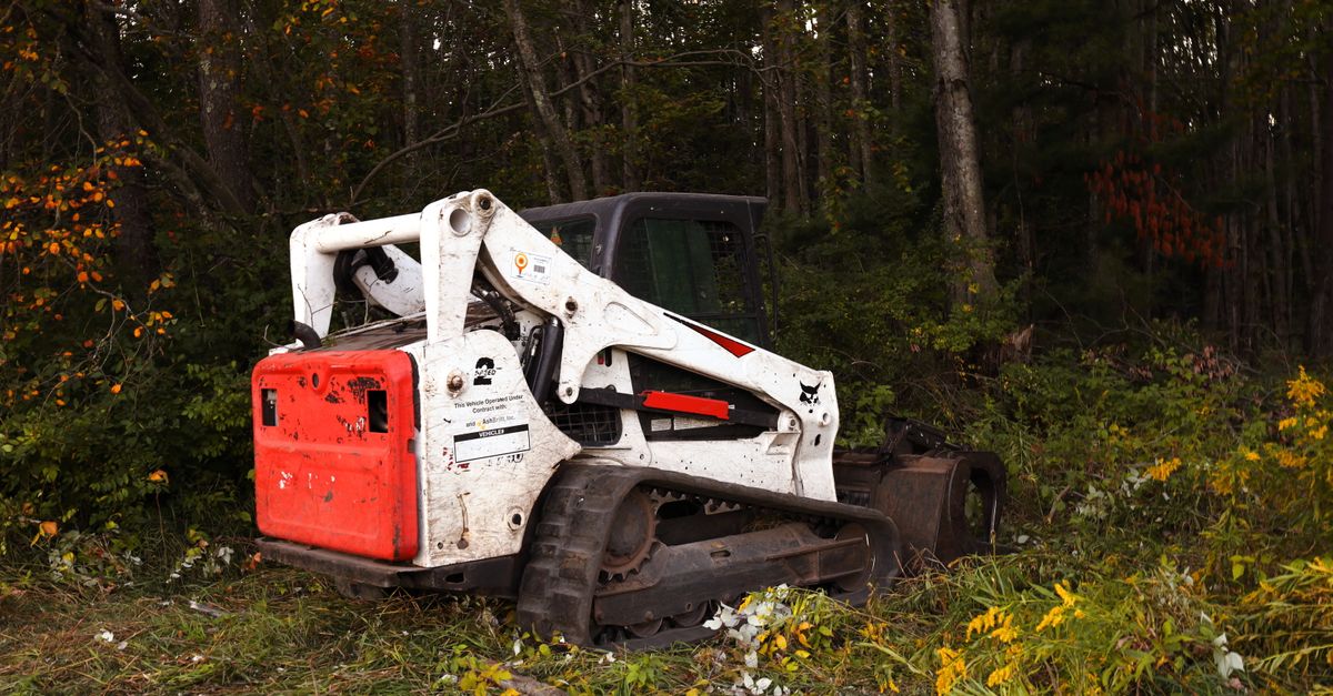 Land clearing and forest management