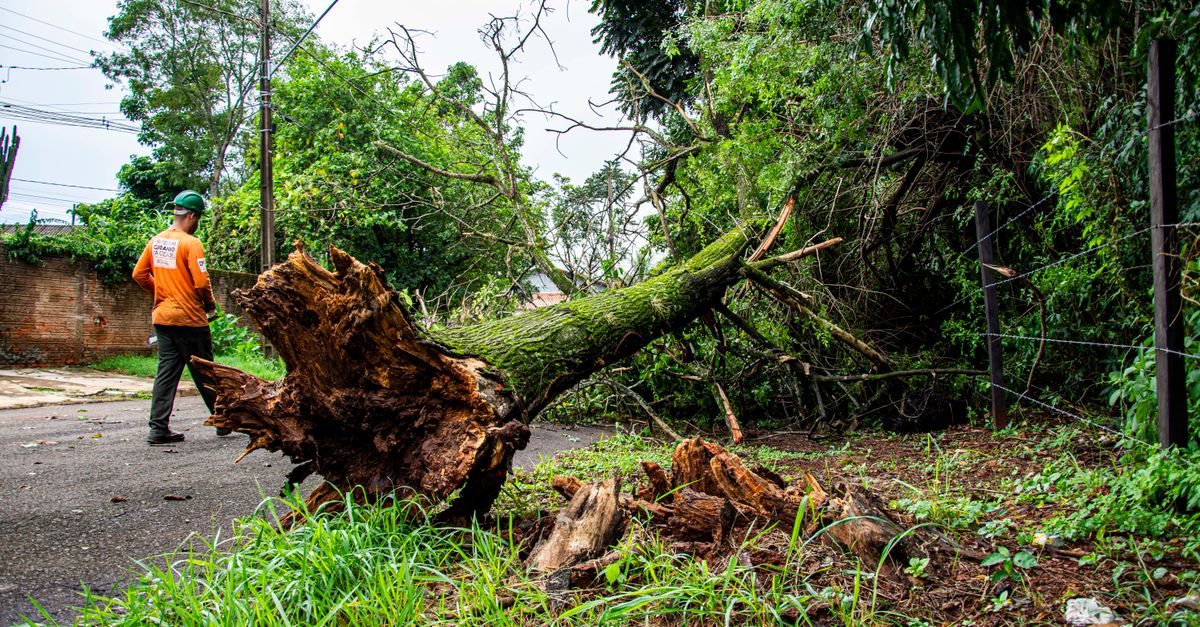 Storm damage cleanup after severe weather