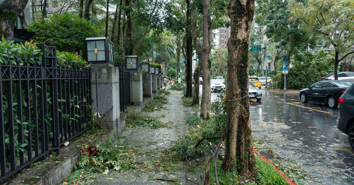 Storm debris and fallen branches being cleared